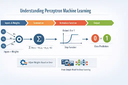 An infographic illustrating the Perceptron machine learning process. It covers key components: Inputs & Weights, Summation, Activation Function, and Output. The image highlights the flow of data through the perceptron model, showcasing the steps involved in classifying data into two categories (0 or 1). It also includes visual cues for adjusting weights based on errors and the progression from simple models to deep learning
