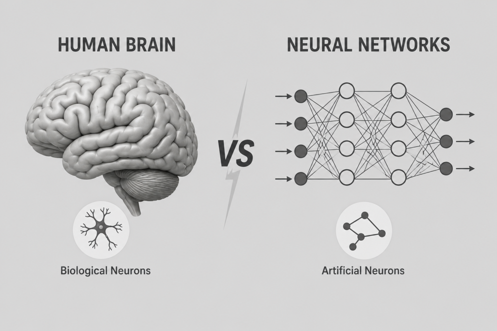 Neural Networks vs Human Brain: How AI Mimics Bn Shocking Power Grey background illustration comparing neural networks vs human brain with artificial neurons, biological brain connections, AI learning systems, and futuristic machine intelligence design.